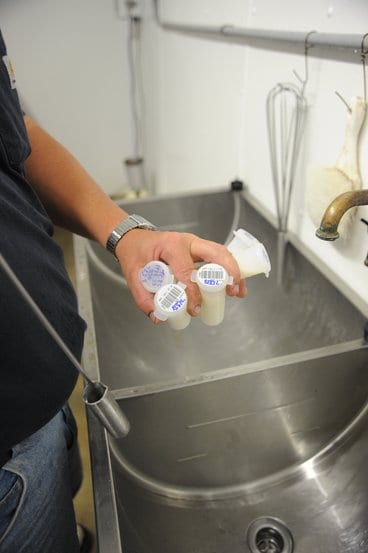 Asegurando que toda la leche esté libre de antibióticos.