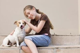 Los mejores tipos de perros para niños.