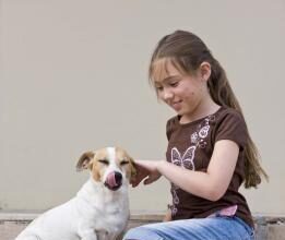 Niños y miedo a los perros