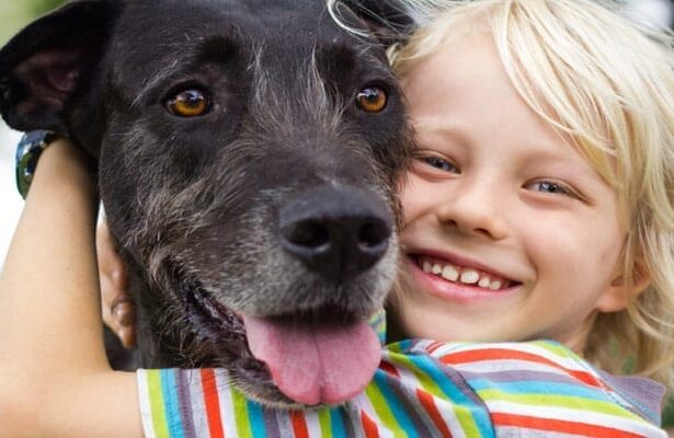 10 formas de celebrar a tu perro durante la Semana Nacional del Perro