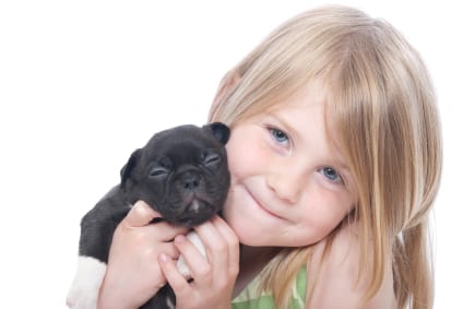 6 Preguntas que Hacerte Antes de Adoptar una Mascota Familiar