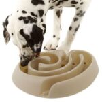 Tazón de comida para perros con laberinto