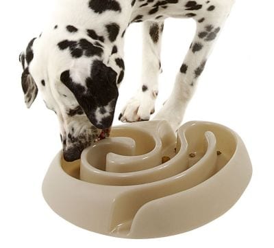 Tazón de comida para perros con laberinto