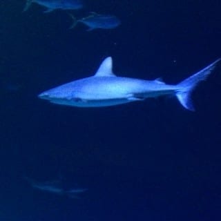 IMG_6391
