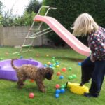 Tres juegos para que los niños y los perros jueguen juntos.