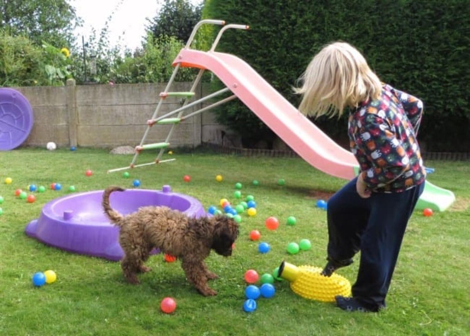 Tres juegos para que los niños y los perros jueguen juntos.