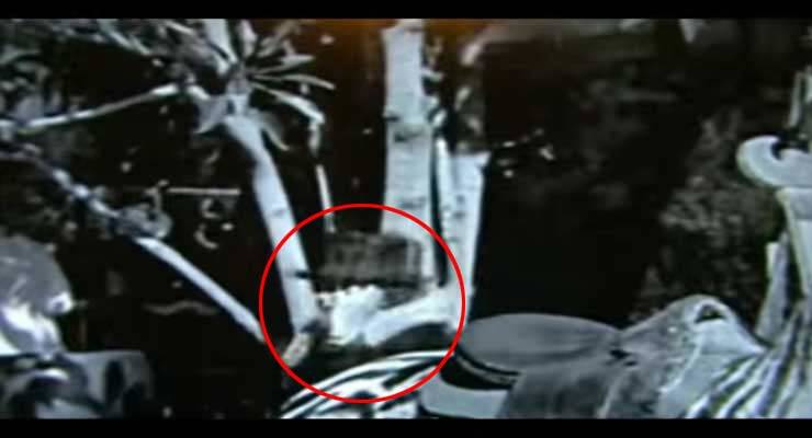 Viajero en el tiempo de la era Chaplin captado en video