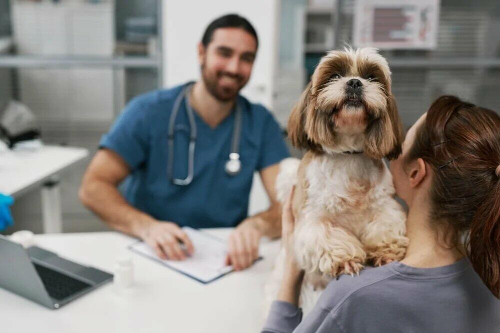 ¿Cómo mejoran los multivitamínicos la salud general y el equilibrio nutricional de un perro?