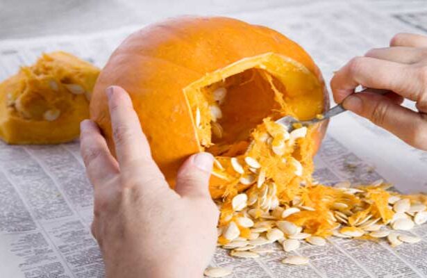 ¿Qué hacer con la pulpa de calabaza?