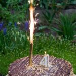 Ideas de ubicación para fiestas de cumpleaños