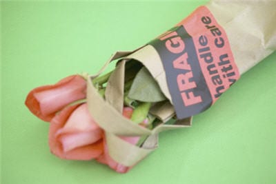 5 maneras de reutilizar bolsas de papel para compras
