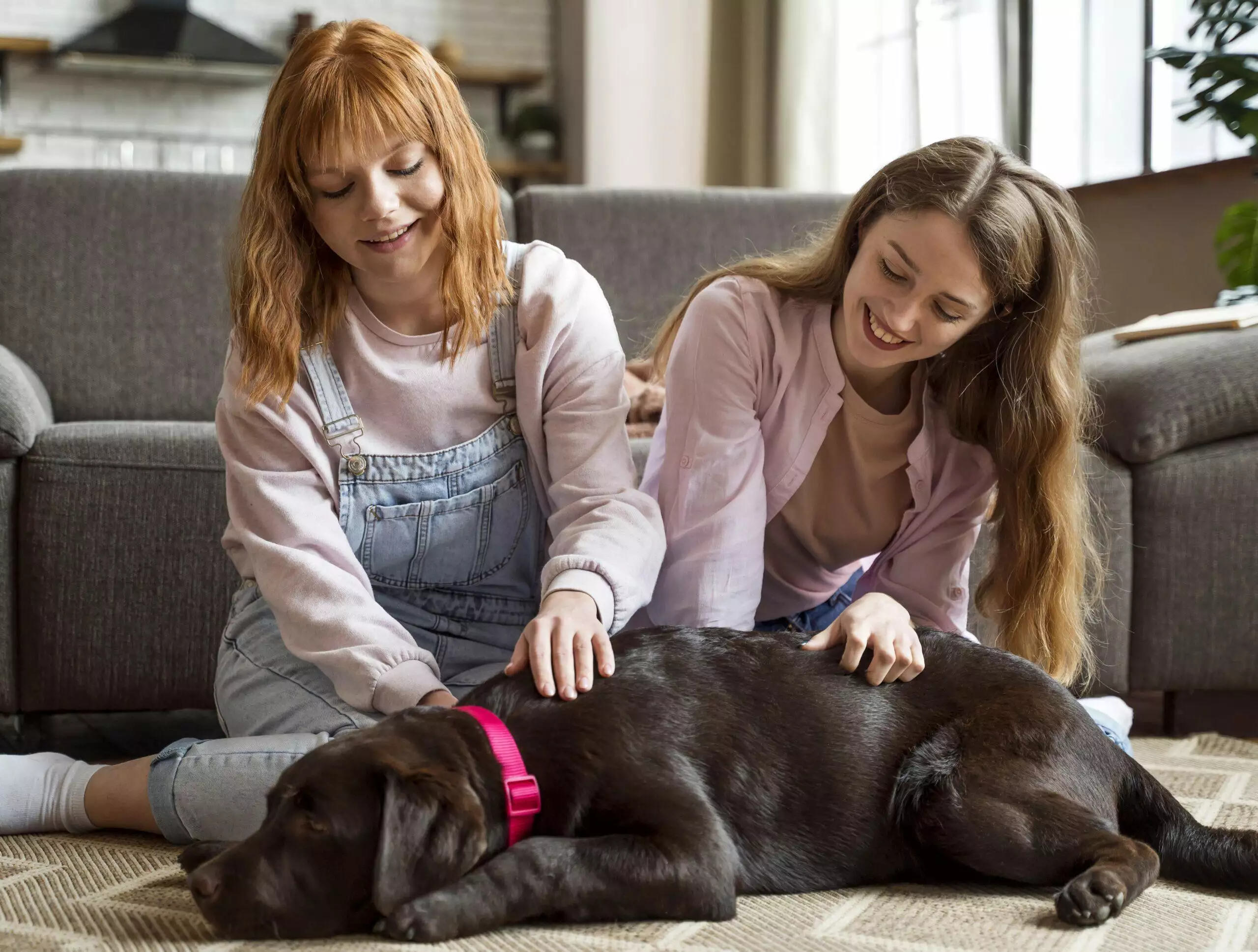 Cómo la terapia asistida por mascotas puede mejorar tu salud mental