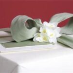 Organiza un Bridal Shower sin romper el banco